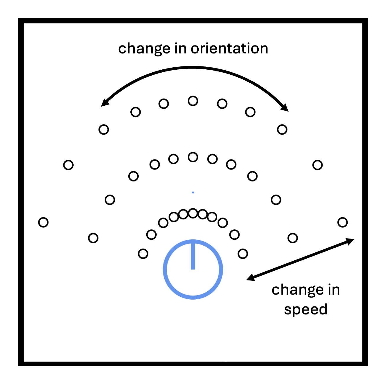 Visualization of the 33 positions that agents can choose to move to based on the angle of turning and the change of speed.